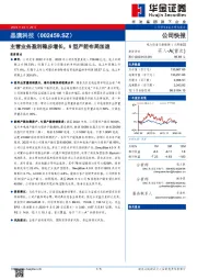 主营业务盈利稳步增长，N型产能布局加速