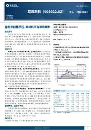盈利阶段性承压，新材料平台初现雏形