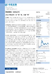 2022年报点评:有“钛”度,自超“钒”
