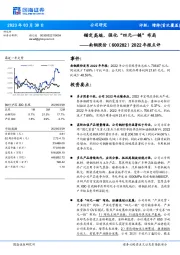 2022年报点评：锚定高端，强化“四元一链”布局