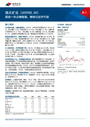 煤焦一体业绩稳健，精细化延伸可期