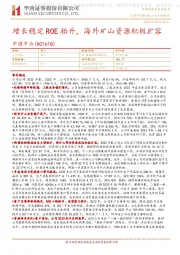 增长稳定ROE抬升,海外矿山资源积极扩容