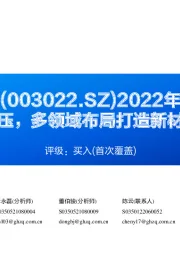 2022年报点评：四季度业绩承压，多领域布局打造新材料平台型企业