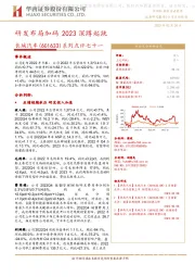 系列点评七十一：研发布局加码 2023深蹲起跳