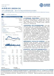 全年业绩维持高增，国内外市场全面突围剑指全球销冠