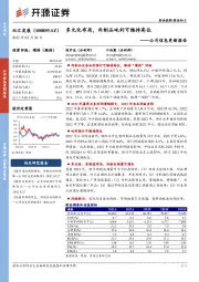 公司信息更新报告：多元化布局，肉制品吨利可维持高位