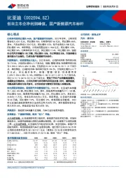 创自主车企净利润峰值,国产新能源汽车标杆
