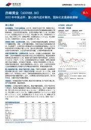 2022年年报点评：重心转向成本管控，国际化发展路线清晰