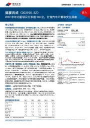 2022年年化新项目订单超200亿，打造汽车计算和交互底