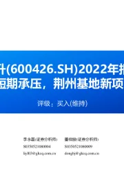 2022年报点评:Q4业绩短期承压,荆州基地新项目再加码
