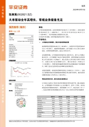 大单驱动全年高增长，常规业务储备充足