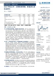 2022年报点评：业绩略超预期，新能源业务快速增长