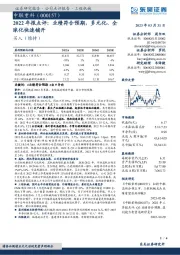 2022年报点评：业绩符合预期，多元化、全球化快速铺开