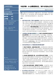 年报详解：Q4业绩短期承压，海外市场多点开花