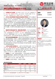 2022年报点评:稀有气体跌价及减值影响Q4利润