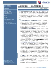 业绩符合预期,一体化布局稳健增长