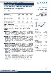 2022年年报点评：数据要素市场建设加快，上海数据要素领军者蓄势待发