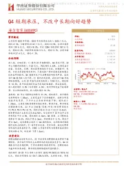 Q4短期承压，不改中长期向好趋势