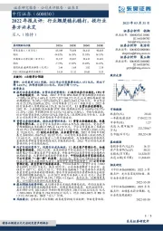 2022年报点评：行业翘楚稳扎稳打，投行业务方兴未艾