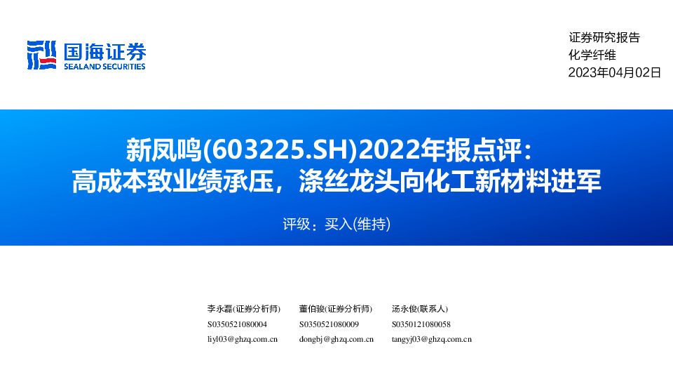 2022年报点评：高成本致业绩承压，涤丝龙头向化工新材料进军