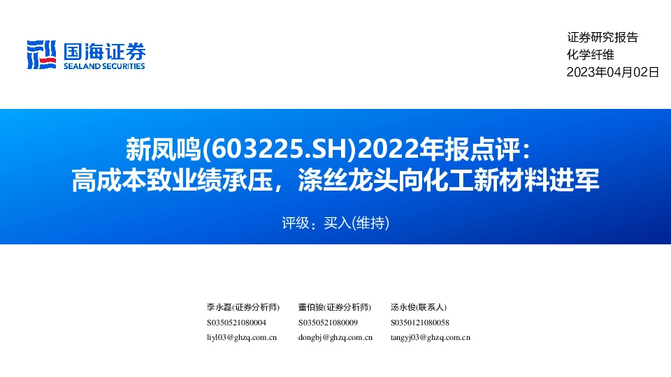 2022年报点评：高成本致业绩承压，涤丝龙头向化工新材料进军