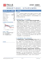 钾肥高景气度维系，全年业绩大幅增长