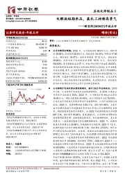 年报点评：电解液短期承压，氟化工持续高景气