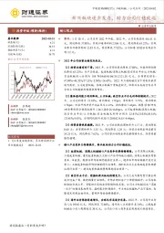 新兴板块逐步发力,助力公司行稳致远