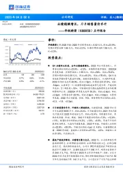 点评报告:业绩稳健增长,刀片销售量价齐升