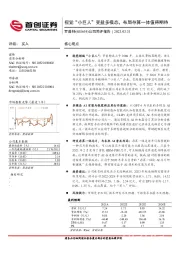 公司简评报告:视觉“小巨人”受益多模态,布局存算一体值得期待