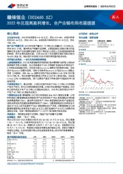 2022年兑现高盈利增长，全产业链布局有望提速