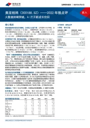 2022年报点评：大数据持续突破，AI打开新成长空间