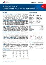 22年营收同比增长15%，12英寸芯片产出量同比增长125%