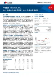 2022年核心业务承压显著，2023年具备多重期待