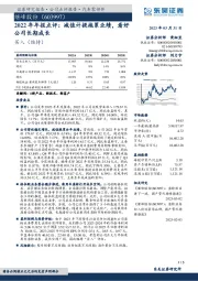 2022年年报点评：减值计提拖累业绩，看好公司长期成长