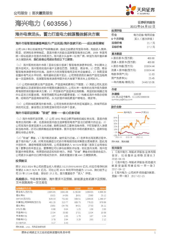 海外电表龙头，蓄力打造电力能源整体解决方案