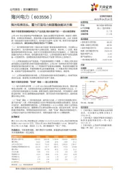 海外电表龙头，蓄力打造电力能源整体解决方案