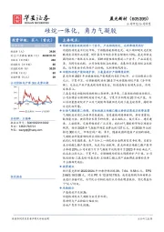 硅烷一体化，角力气凝胶