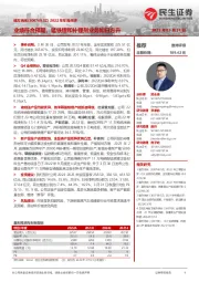 2022年年报点评:业绩符合预期,锰铁锂和补锂剂业务如日方升