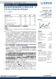 国家能源局推进能源数字化智能化发展，公司作为电力信息化龙头率先获益