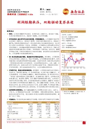 利润短期承压,双轮驱动复苏在途