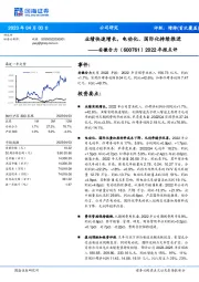 2022年报点评：业绩快速增长，电动化、国际化持续推进