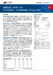 2022年年报点评：一体化转型成效显著，海外业务扩张迅速