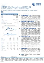 2022年净利润同比增长34.22%，产业链延伸稳步推进