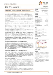 业绩稳步增长,市场拓展成效显著,外延助力加速成长