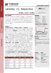 点评报告：业绩再创新高，产品、渠道结构升级优化