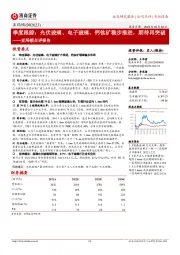 亚玛顿点评报告:光伏玻璃、电子玻璃、钙钛矿稳步推进,期待再突破
