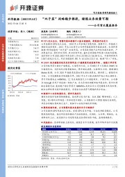 公司首次覆盖报告:“双子星”战略稳步推进,储能业务放量可期