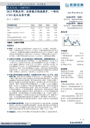 2022年报点评：业务能力快速提升，一体化CXO龙头未来可期