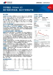 锂矿资源优势显著，稳步扩张锂盐产能